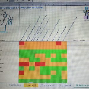 Executieve functies in overzicht_Midden- en bovenbouw (Excel bestand)