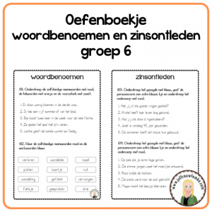 Oefenboekje woordbenoemen en zinsontleden groep 6