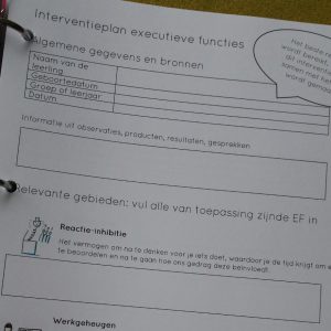 Interventieplan executieve functies
