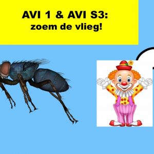 Lezen met Kasper: Zoem de vlieg (avi-1)