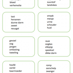 Woordlink Menselijk lichaam