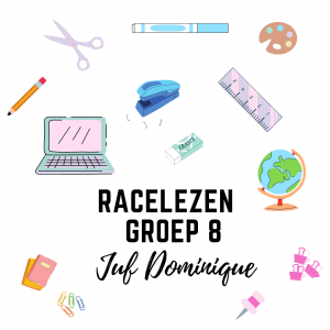 Racelezen E8
