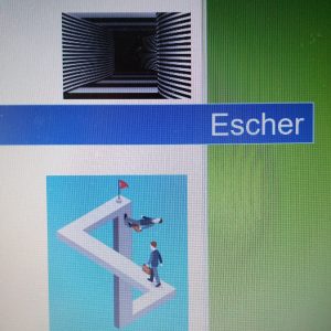 Escher lessenserie