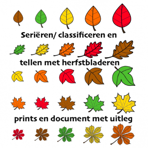 Herfstbladeren seriëren/classificeren prints + uitleg