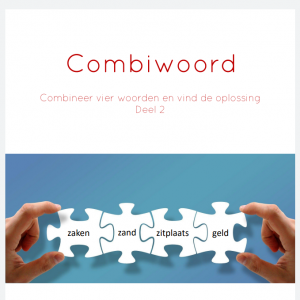 Combipuzzels deel 2 - creatief denken met woorden
