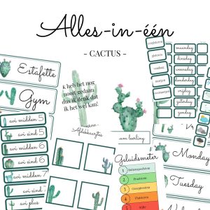 Alles-in-één pakket thema cactus