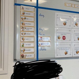 Dagritme kaartjes bijtjes