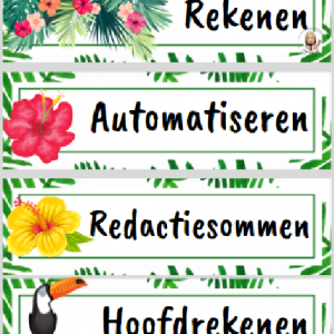 Klassenthema Tropisch