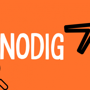 Staal Taal Nodig woordkaartjes