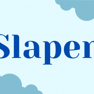 Staal Taal Slapen woordkaartjes