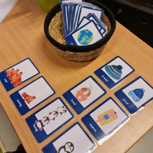 Kleuterjuffie tegenstellingen kaartjes Noordpool/ Zuidpool