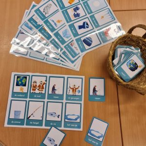 Kleuterjuffie woordkaarten Noordpool/ Zuidpool