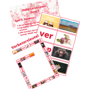 VLL - kern 1 - domino/leesrups