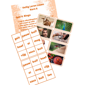 VLL - kern 6 - bingo