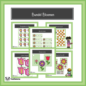 Bundel Bloemen