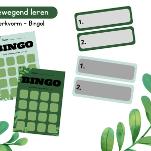 Bewegend leren werkvorm - Bingo!