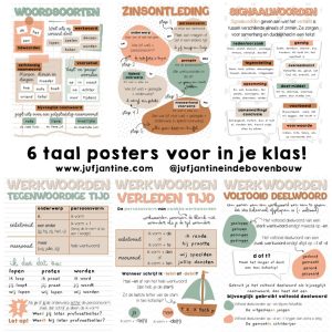 6 Taal/spelling posters voor in je klas - AARDETINTEN