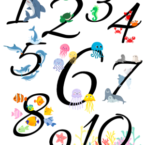 Rekenposter zeedieren