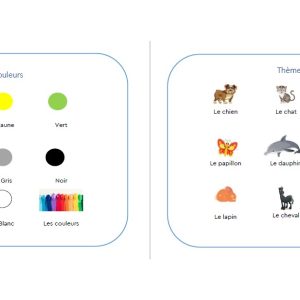 Themakaarten bij werkboek 1: Franse lessen voor de basisschool