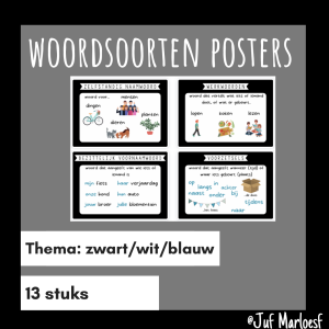 POSTERS WOORDSOORTEN BENOEMEN (13 STUKS - ZWART/WIT/BLAUW)