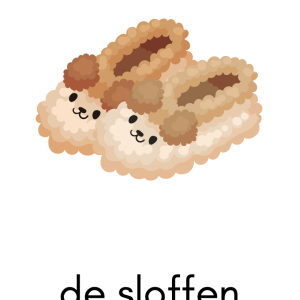 Woordkaarten Winter