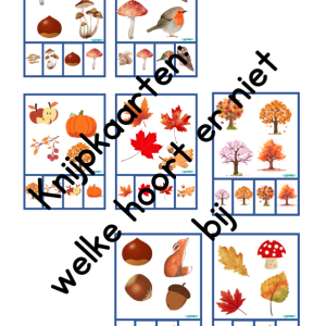 Knijpkaarten Herfst: Welke hoort er niet bij?