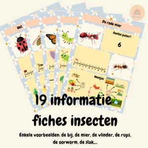 Informatie fiches insecten