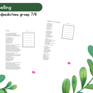 Spelling - Werkvorm - Liedjesdictees groep 7/8