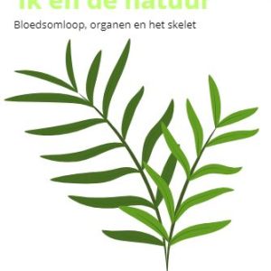 Werkbundel bloedsomloop, organen en het skelet 3 niveaus