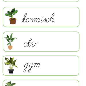 Dagritmekaarten plantjes