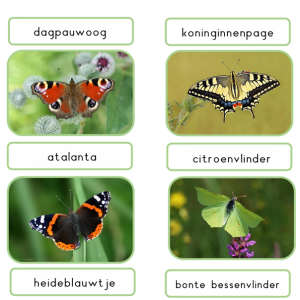 Legwerkje vlinders