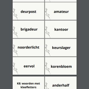 Propjesdictee