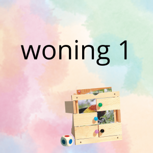AN - mijn woning (deel 1) - spel 10: raad het plaatje