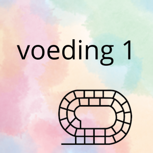 AN - de voeding (deel 1) - spel 6: ganzenbord