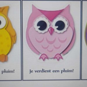 Pluimkaartjes