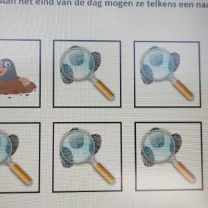Wie is de mol?