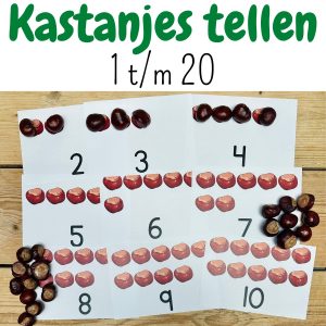 Kastanjes tellen | herfst activiteit voor kleuters peuters | 1 - 20