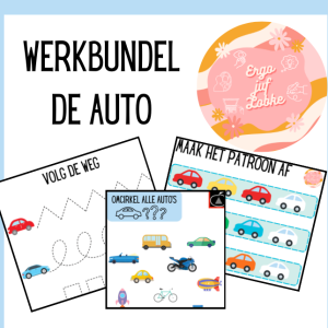 Werkbundel: de auto