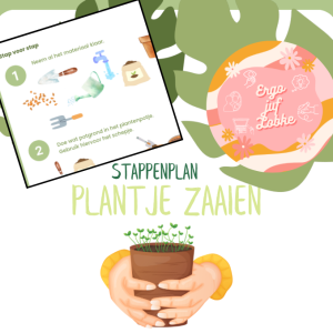 Stappenplan: plantjes zaaien