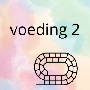 AN - de voeding (deel 2) - spel 6: ganzenbord