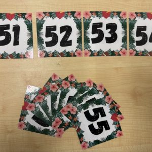 getal kaartjes t/m 100 (tropisch)