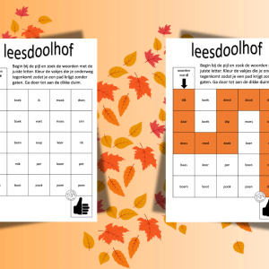 leesdoolhof